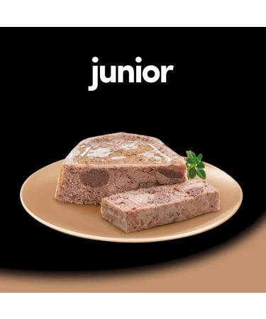 Cesar Junior Puppy Dog Food with Tender Turkey and Veal 150 g - 14 tubs - Buy Online on GoSupps.com