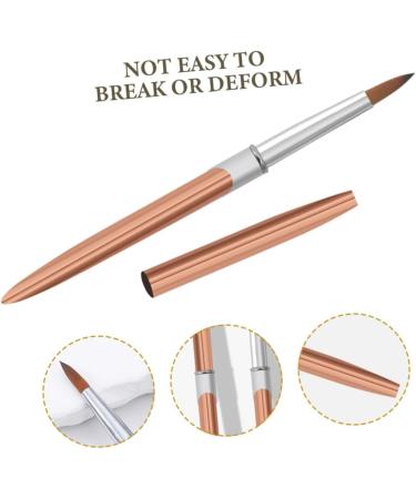 Ipetboom Metal Rod Nail Art Pen Thin Nail Art Brush Nail Pens Nail Art Drawing Pens Manicure Tools Portable Nail Art Brush Nail Brushes for Nail Art Striping Liner Aluminum Single 17.40X1.00X1.00CM As Shown - Buy Online on GoSupps.com