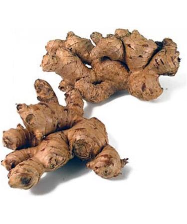 Natural Ginger Rings Dried Cut Herbal Tea Remedy Herb Alkaline Whole Root Non Chinese - Buy Online on GoSupps.com