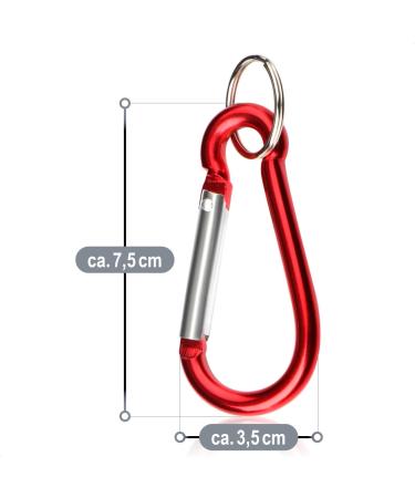 Buy com-four Carabiner - 12 Pack Snap Hook with Safety Closure for Keys & Camping - International Shipping - Buy Online on GoSupps.com