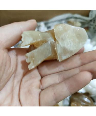 Specimen 1pc 50mm Natural Orange Calcite Stones and Crystals Carved Rock Crystal Frog StatueStone Stone Crystal Reiki - Buy Online on GoSupps.com