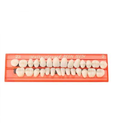 BUNRUN 28 PCS False Teeth Temporary Dental Resin Teeth Model Durable Dentures Universal Resi False Teeth