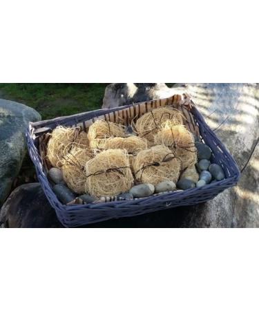 Natural Super Exfoliating Sponge "Kan Kan" - Buy Online on GoSupps.com