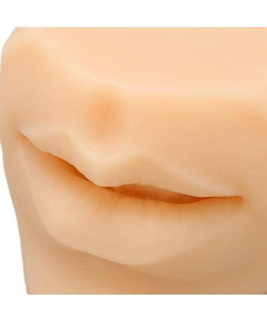 Mouth Model - Lifelike Soft Silicone Human Mouth for Jewelry & Educational Display - Buy Online on GoSupps.com