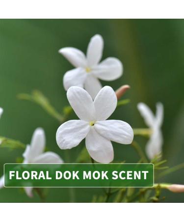 KitaMa DOK MOK Thai Water Jasmine Massage Oil - Nourishing Aroma Body Care Oil 1000ml for Relaxation - Buy Online on GoSupps.com