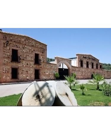 Spanish Cold Pressed Extra Virgin Olive Oil Casa del Agua Picual 2 Litres Bottle - Buy Online on GoSupps.com