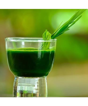 Nature's Finest Organic Wheat Grass Powder | 100% Natural Young Organic Wheatgrass | Rich Source of Protein Fiber & Chlorophyll | Third Party Tested Quality - Buy Online on GoSupps.com
