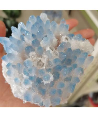 Home Decoration 400-700g Rare Beautiful Blue Ghost Phantom Quartz Crystal Cluster Specimen Chakra Stones Crystal Cluster (Size : 500-600g) - Buy Online on GoSupps.com