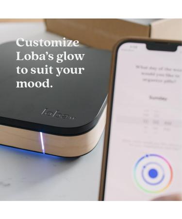7-Day Smart Pill Organizer by Loba | Adjustable Notifications & Detachable Compartments | International Shipping Available - Buy Online on GoSupps.com