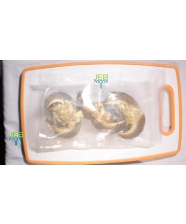 Giant African Land Snail Jumbo Size Freeze Dried (3-Pack) - Premium Quality Snail Treats - Buy Online on GoSupps.com