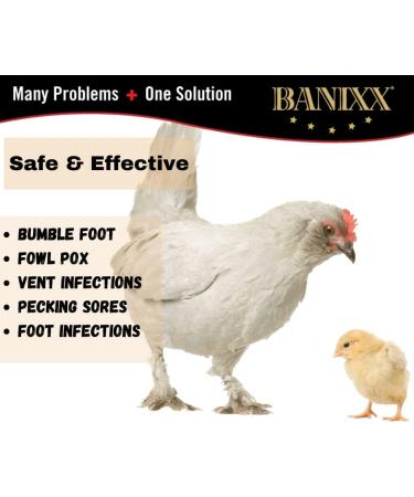 Banixx for Chixx 2oz: Safe, Sting-Free Solution for Chicken Sores, Bumble Foot, Fowl Pox, and More - Buy Online on GoSupps.com