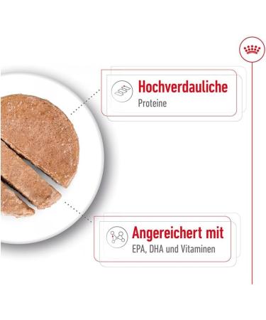 Royal Canin Maxi Ageing | 12 x 410 g | Complete Food for Large Older and Senior Dogs (26 to 44 kg) | Nutrient-Rich and Balanced Wet Food from Five Years Old - Buy Online on GoSupps.com