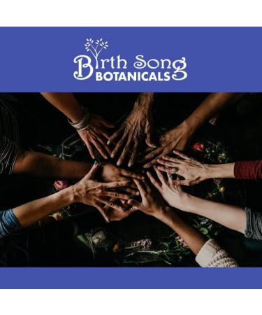 Birth Song Botanicals Children's Organic Daily Immune Herbal Tincture, Herbal Astragalus Supplement, 1oz Bottle - Buy Online on GoSupps.com