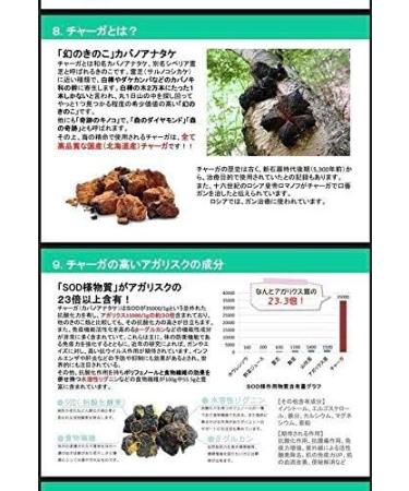 UMI High Concentration Fucoidan & Chaga Mushroom Extract Supplement 180 Capsules | Made in Japan - Buy Online on GoSupps.com