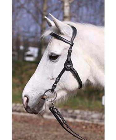 Buy Headpiece Contour Physio in Brown COB - VB | International Shipping Available - Buy Online on GoSupps.com