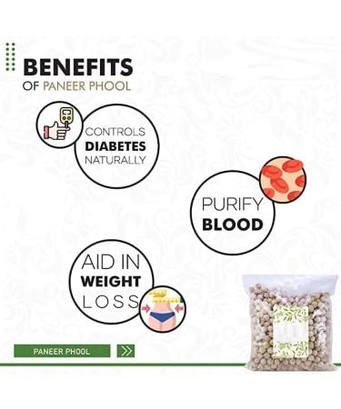 Paneer Phool | Paneer Doda | Withania Coagulans (400 grams) - Buy Online on GoSupps.com