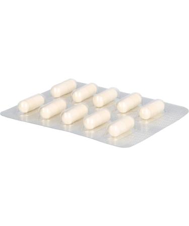 Lactobact AAD Gastrointestinal - 40 pcs | International Shipping Available - Probiotics for Digestive Health - Buy Online on GoSupps.com