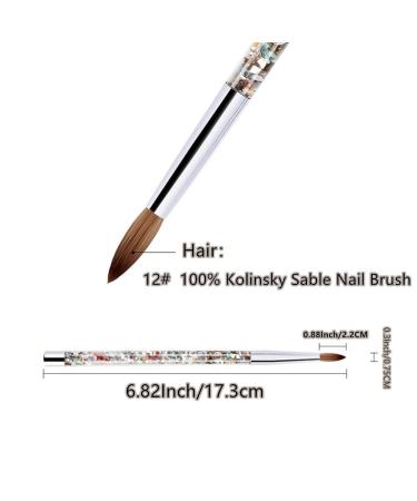 100% Kolinsky Sable Nail Brush - Round Acrylic Nail Art Tool for Perfect Gel Manicures | Liquid Glitter Handle (12#) - Buy Online on GoSupps.com