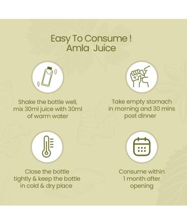 Krishna's Special Amla High Fiber Juice - 1000 ml | Fresh cold pressed Amla Juice | Helps Boosts Skin and Hair Health | Helps Detox | Rich in Vitamin C | Natural Immunity Booster - Buy Online on GoSupps.com