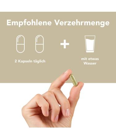 Aura Natura Fermentura Doloferm - 60 Capsules with Pea PQQ MSM Rosehip & Fermented Curcuma | Natural Health Supplement for Optimal Wellness - Buy Online on GoSupps.com