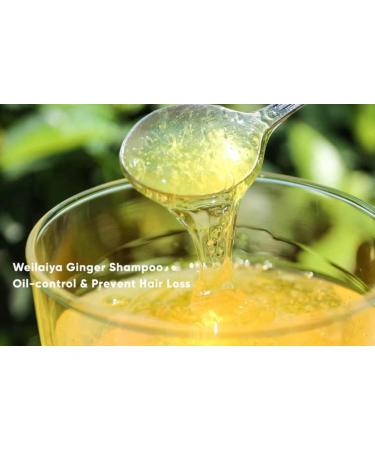 Weilaiya Ginger Prevent Hair Loss Shampoo & Conditioner Set - 400mL & 250mL | International Shipping Available - Buy Online on GoSupps.com