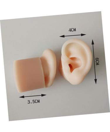 Hemoton Silicone Ear Model Set for Practice and Display | Ear Picking & Simulation Props - Buy Online on GoSupps.com