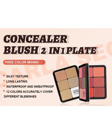  PCC PTYXIS Carmine Contour Color Palette 12 Colors Professional Color Concealer Cream Waterproof Color Palette Suitable for Oily Dry or Sensitive Skin (#12-B 12 Colors) - Buy Online on GoSupps.com
