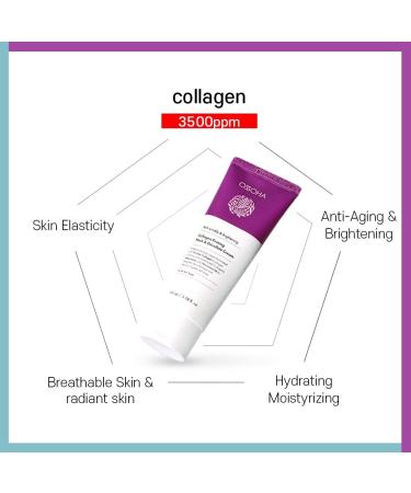 OSSOHA SET Collagen Firming Neck & D collet Cream(100ml/3.38fl.oz)+Microbiome Collagen Moisture Cream(100ml/3.38fl.oz)_For Both Neck and Face Moisturizer For Sensitive Skins Natural Ingredients - Buy Online on GoSupps.com