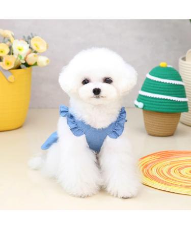 Luxury Dog Dress for Small Dogs - Rock & Princess Styles Evening Tutu & Jeans Skirt | Light Blue Puppy Clothing - Buy Online on GoSupps.com