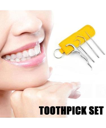 Waitlover Metal Toothpick Set | Portable Steel Dental Floss & Tooth-Cleaning Thread - International Shipping - Buy Online on GoSupps.com