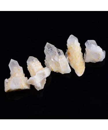 1PCS Natural Crystal Raw Quartz Cluster Clear White Stone Crystal Point Specimen Home Decor Raw Crystals - Buy Online on GoSupps.com