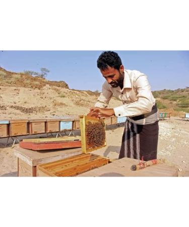 Yemen Spurge Honey (S l) Premium Quality Pure Honey Net Weight 300g A Wide Variety Of Delicious Flavors. - Buy Online on GoSupps.com