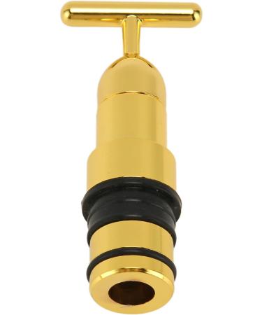 EVTSCan Stainless Steel Muscle Massage Head | T-shaped Skin Care Facial Attachment 0.7 inch | International Shipping Available - Buy Online on GoSupps.com