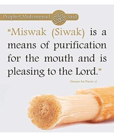 100 Pcs Al Falah Siwak Miswak Arak Peelu Chewing Sticks - Organic Herbal Toothbrush for Fresh Breath - Vacuum Sealed - Buy Online on GoSupps.com