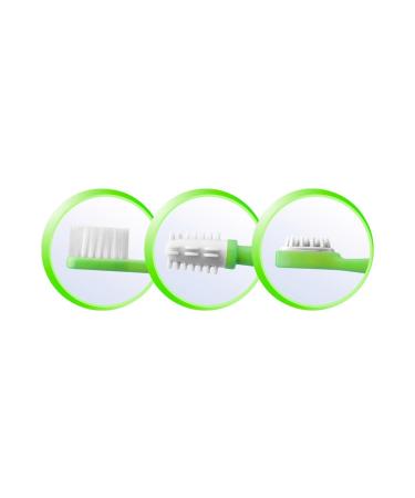 Reer 7903 Learning Toothbrush Set with Safety Plate - Safe & Effective Oral Care for Kids | International Shipping Available - Buy Online on GoSupps.com