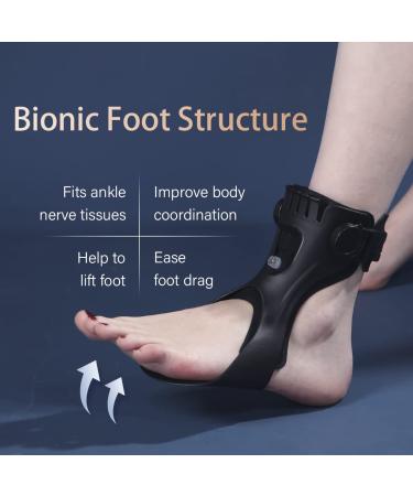 Syrebo Drop Foot Brace - AFO Ankle Brace Support with Airbag Absorber for Hemiplegia Stroke, Medium Size - Improve Walking Gait and Relieve Pain - Buy Online on GoSupps.com