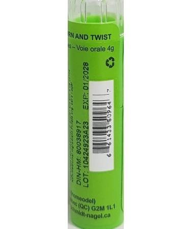 Dulcamara 30CH Homeopathy Medicine Schmidt-Nagel Canada (Homeodel) 90 pellets/granules - Buy Online on GoSupps.com