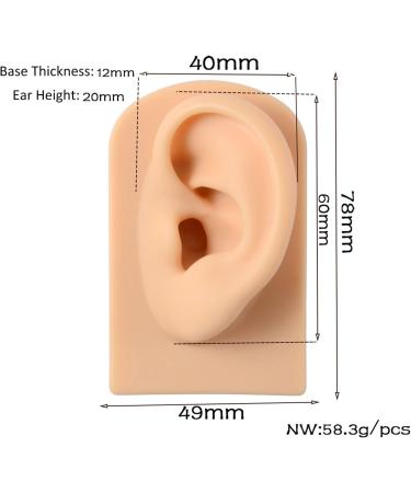 Human Ear Model Professional Soft Silicone Ear Model Fake Ear Display Sample Ear Acupuncture Practice Model for Ear Picking Ear Piercing Teaching Acupuncture B 1 pair - Buy Online on GoSupps.com