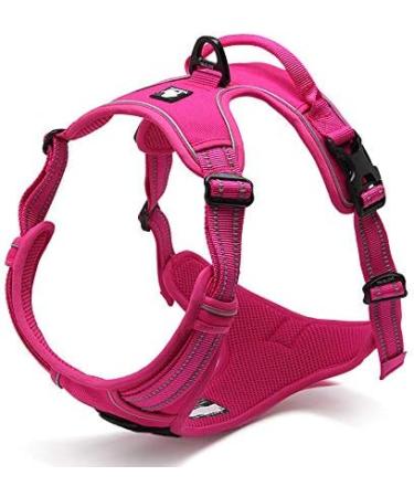 Winhyepet Truelove No-Pull Dog Harness - Reflective Adjustable with Control Handle & 2 Linen Clips for Small Medium & Large Dogs - TLH5651 XS Pink - Buy Online on GoSupps.com
