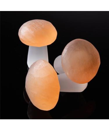 1pc Mushroom Pieces Natural Selenite Quartz Stone Polished Crystal Selenite Home Decor - Buy Online on GoSupps.com