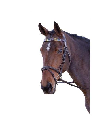 Blenheim - Horse Browband Leather Polo (Cob) (Purple/Dark Green/Yellow)