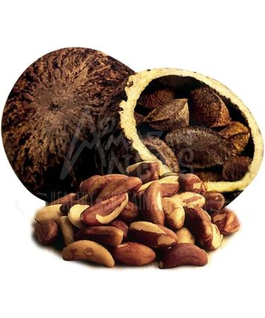 Organic Amazon Andes Brazil Nuts Oil Softgel Capsules 500mg x 100 - Selenium & Zinc Rich, Vegan, Non-GMO, Gluten-Free - Buy Online on GoSupps.com
