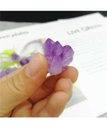 Natural Magic Natural Raw Amethyst Quartz Crystal Cluster Stones Specimen Home Decoration Crafts Piedras naturales ES ZJGIDTEM (Size : 200-300g) - Buy Online on GoSupps.com