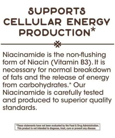 Nature's Way Niacinamide 500mg - 100 Capsules | Support Skin & Health - Buy Online on GoSupps.com