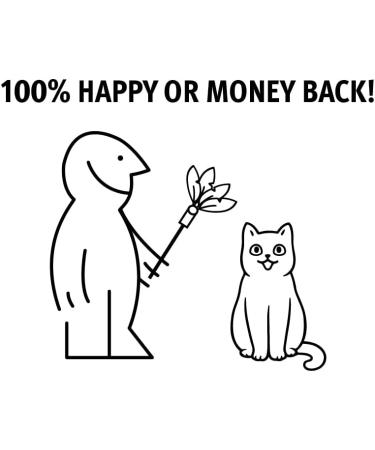 Premium Federwedel Cat Toy - Handmade in Germany | Sustainable Beech Wood & Natural Feathers for Eco-Friendly Cat Fishing - Buy Online on GoSupps.com