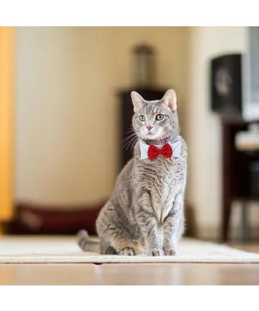 Formal Pets Bowtie Adjustable Pets Dog Cat Bow Tie Pet Necktie Collar Elegance False Kitten Necktie Collar Trendy Bowties for Wedding Birthday Christmas Costumes Neck Collar for Dogs and Cats (L) - Buy Online on GoSupps.com