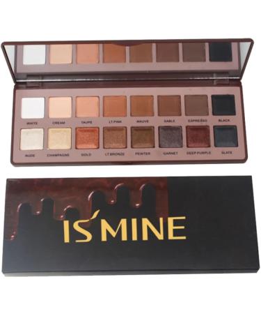 Angoily 16 Beauty Eye Makeup Warm Cosmetic Shadow Matte 1 count (Pack of 1) Chocolate - Buy Online on GoSupps.com