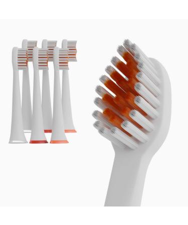 Zahnheld brush head Basic medium |Replacement brushes |Medium -hard alternating heads for Gero Schallzahnbrush |Effective cleaning |In pap Packaging 6 pieces (1 pack) white