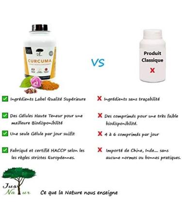Just'Nature Curcumin Black Pepper and Ginger Antioxidant Natural Ingredients High Quality 120 Natural Curcumin Capsules for a 4-Month Curcumin Treatment Made in Europe - Buy Online on GoSupps.com