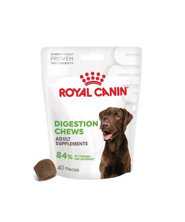 ROYAL CANIN Digestion Chews Adult Supplements | 160 g | Supplementary Feed for Adult Dogs | To Support Digestion & Intestinal Flora | Scientifically Developed